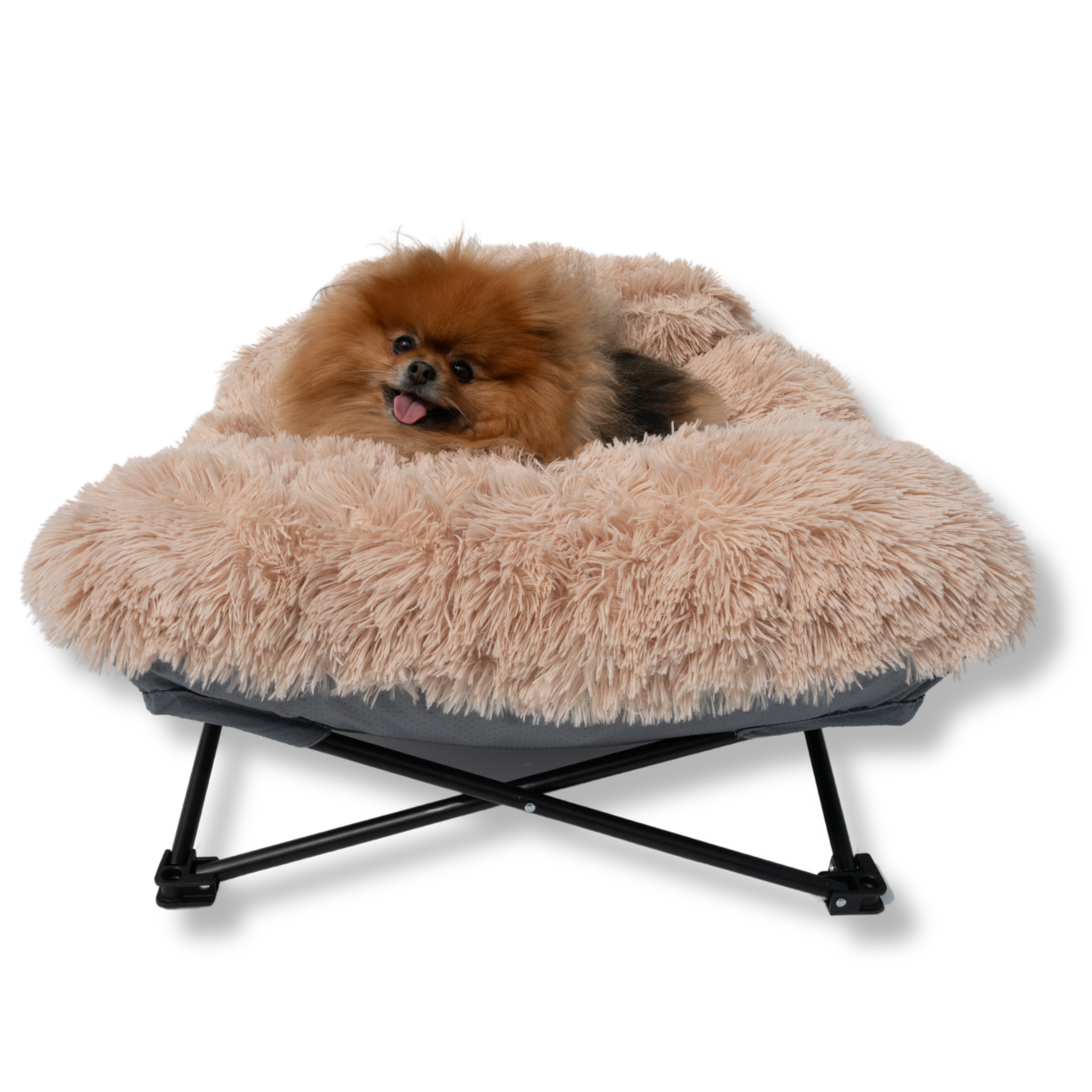 NapZZZ Fuzzle Ligstoel met kussen - Beige, Vooraanzicht van de stoel met een hond. Verhoogd bed met een metalen frame voorzien van antislip details op hoek. Inklapbaar metalen frame en uitneembaar ligkussen met extra kussentje.
