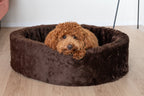 Hond liggend in de NapZZZ ovale bontmand bruin – comfortabele en stijlvolle hondenmand van zacht imitatiebont. Verkrijgbaar van 40 tot wel 120cm. Geschikt van kitten tot zeer grote honden. Uitneembare en wasbare hoes met een stevige schuimrubberen kern. Opstaande rand biedt steun en comfort.