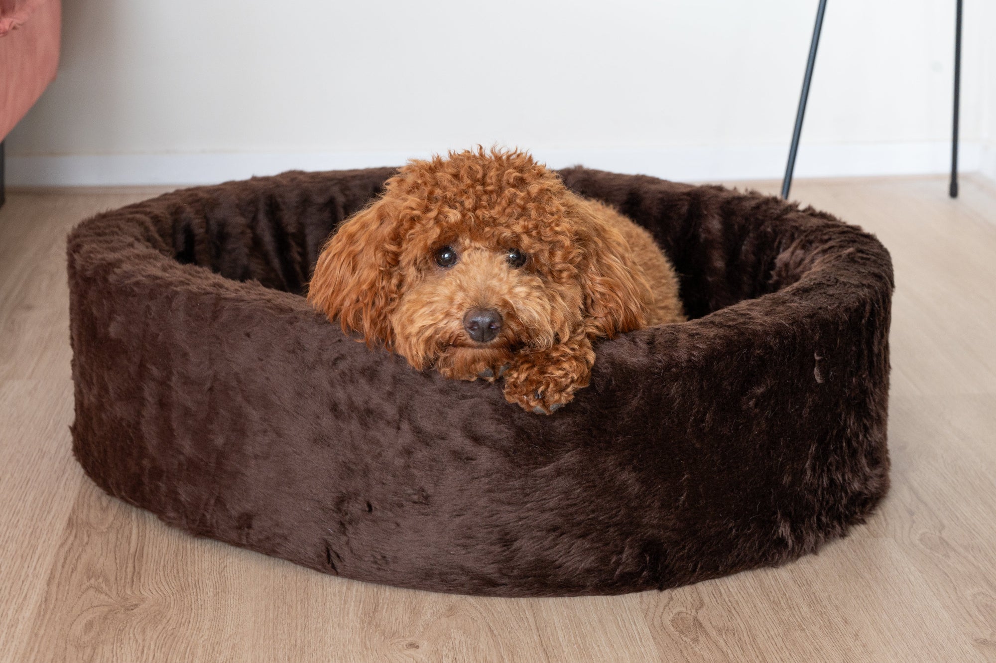 Hond liggend in de NapZZZ ovale bontmand bruin – comfortabele en stijlvolle hondenmand van zacht imitatiebont. Verkrijgbaar van 40 tot wel 120cm. Geschikt van kitten tot zeer grote honden. Uitneembare en wasbare hoes met een stevige schuimrubberen kern. Opstaande rand biedt steun en comfort.