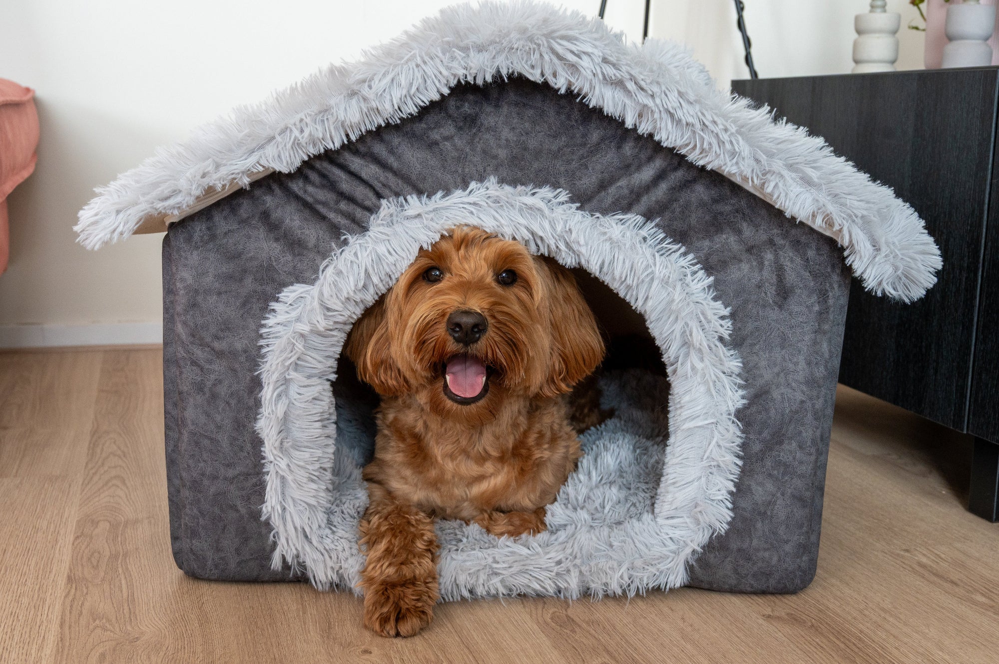 Napzzz hondenhuis/kattenhuis in vooraanzicht met hond. In donker en lichtgrijze kleur. Opvouwbaar huisje met los omkeerbaar ligkussen. Gemaakt van gerecycled materiaal. Geschikt van kitten tot middelgrote hondjes. Heerlijk zacht pluche binnenkant voor extra comfort en knusheid. 